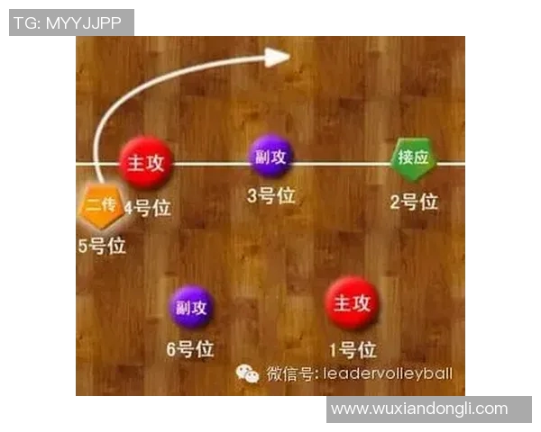 上海排球队快攻战术解析与实战应用探讨 上海排球队快攻战术解析与实战应用探讨
