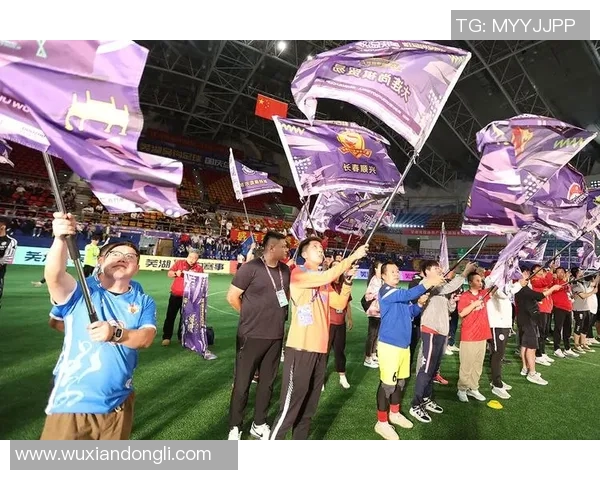 2016芜湖足球明星赛精彩回顾与明星球员表现分析