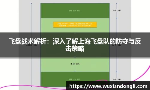 飞盘战术解析：深入了解上海飞盘队的防守与反击策略