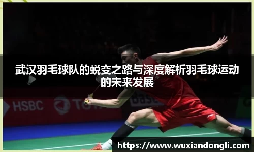 武汉羽毛球队的蜕变之路与深度解析羽毛球运动的未来发展